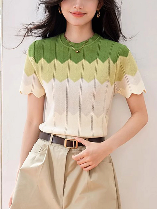 Elegant Round Neck Skeleton Knit Short Sleeve Blouse Top